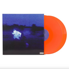 Load image into Gallery viewer, DANIEL CAESAR - NEVER ENOUGH (2xLP/CD)
