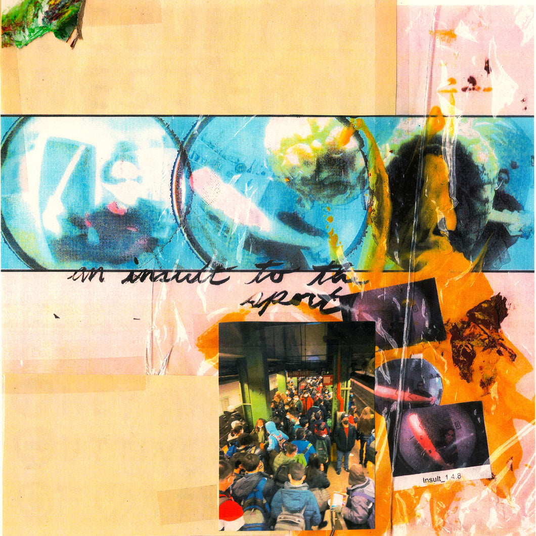 THEY ARE GUTTING A BODY OF WATER / A COUNTRY WESTERN - AN INSULT TO THE SPORT (LP)