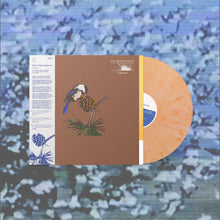 Load image into Gallery viewer, PEEL DREAM MAGAZINE - TAURUS (LP)
