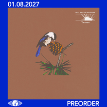 Load image into Gallery viewer, PEEL DREAM MAGAZINE - TAURUS (LP)
