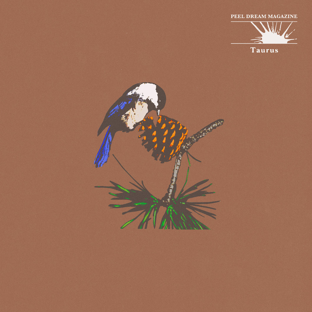 PEEL DREAM MAGAZINE - TAURUS (LP)