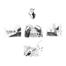 Load image into Gallery viewer, THE DRIN - I LOST MY WAY FOR CENTURIES (2xLP/CD)
