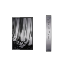Load image into Gallery viewer, TY SEGALL - CHROME (LP/CASSETTE)
