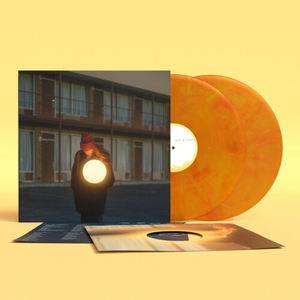 FLOCK OF DIMES - THE LIFE YOU SAVE (2xLP)