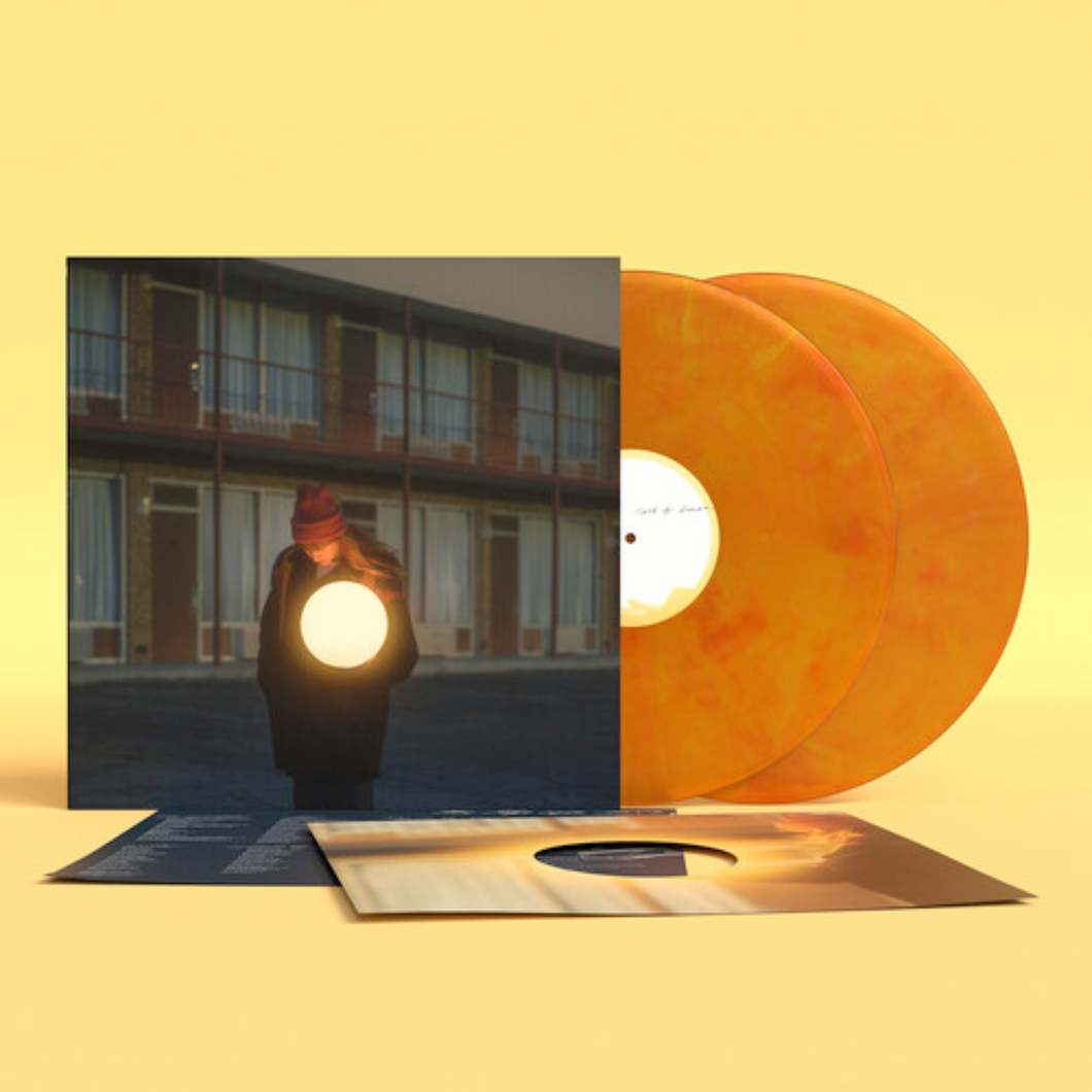 FLOCK OF DIMES - THE LIFE YOU SAVE (2xLP)