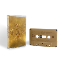 Load image into Gallery viewer, WEEZER - WEEZER [GOLD ALBUM] (LP/CD/CASSETTE)
