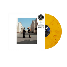 Load image into Gallery viewer, PINK FLOYD - WISH YOU WERE HERE [50th ANNIVERSARY] (3xLP/2xCD/DLX BOX SET)
