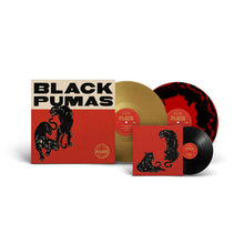 Load image into Gallery viewer, BLACK PUMAS - BLACK PUMAS (DLX 2xLP/LP/CD)
