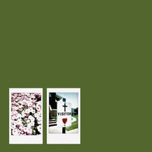 Load image into Gallery viewer, JOHN MORELAND - VISITOR (LP)
