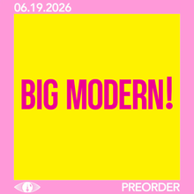 Load image into Gallery viewer, GOOSE - BIG MODERN! (2xLP/CD)
