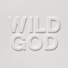 Load image into Gallery viewer, NICK CAVE &amp; THE BAD SEEDS - WILD GOD (LP)
