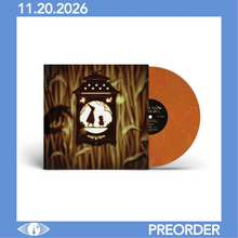 Load image into Gallery viewer, OST: BLASTING COMPANY - OVER THE GARDEN WALL (LP)
