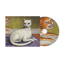 Load image into Gallery viewer, MITSKI - NOTHING'S ABOUT TO HAPPEN TO ME (LP/CD/CASSETTE)
