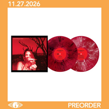 Load image into Gallery viewer, WIDESPREAD PANIC - EVERYDAY (2xLP)
