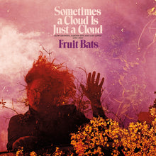 Load image into Gallery viewer, FRUIT BATS - SOMETIMES A CLOUD IS JUST A CLOUD: SLOW GROWERS, SLEEPER HITS AND LOST SONGS [2001-2021] (2xLP)
