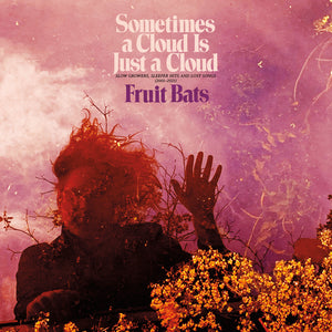 FRUIT BATS - SOMETIMES A CLOUD IS JUST A CLOUD: SLOW GROWERS, SLEEPER HITS AND LOST SONGS [2001-2021] (2xLP)