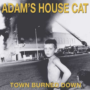 ADAM'S HOUSE CAT - TOWN BURNED DOWN (LP)