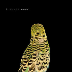 ANDREW BIRD - ARMCHAIR APOCRYPHA (LP)
