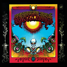 Load image into Gallery viewer, GRATEFUL DEAD - AOXOMOXOA (LP/PIC DISC)
