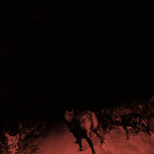 Load image into Gallery viewer, BAMBARA - SHADOW ON EVERYTHING (LP)
