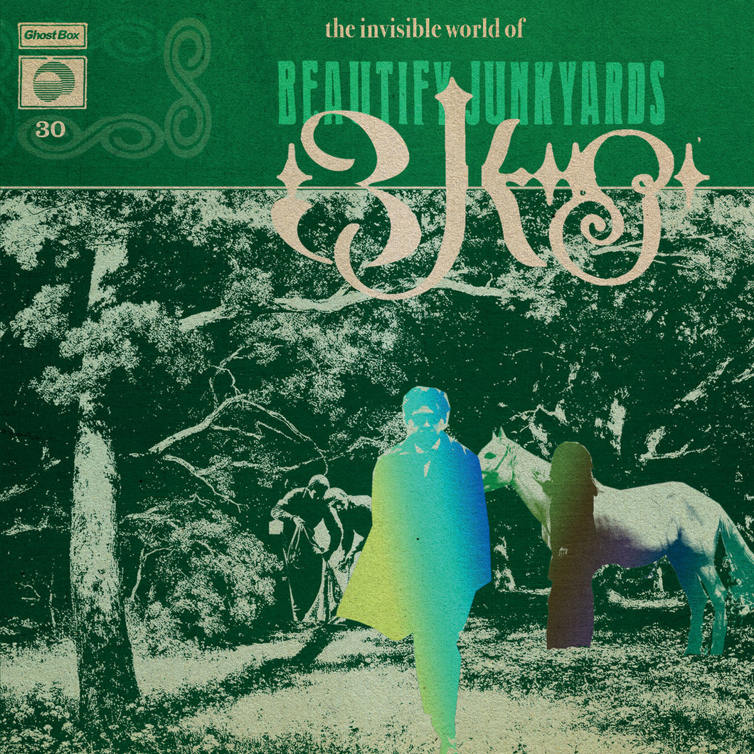 BEAUTIFY JUNKYARDS - THE INVISIBLE WORLD OF BEAUTIFY JUNKYARDS (LP)