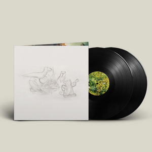 BIG THIEF - DRAGON NEW WARM MOUNTAIN I BELIEVE IN YOU (2xLP/CD)