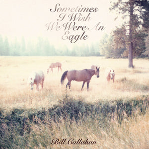BILL CALLAHAN - SOMETIMES I WISH WE WERE AN EAGLE (LP)