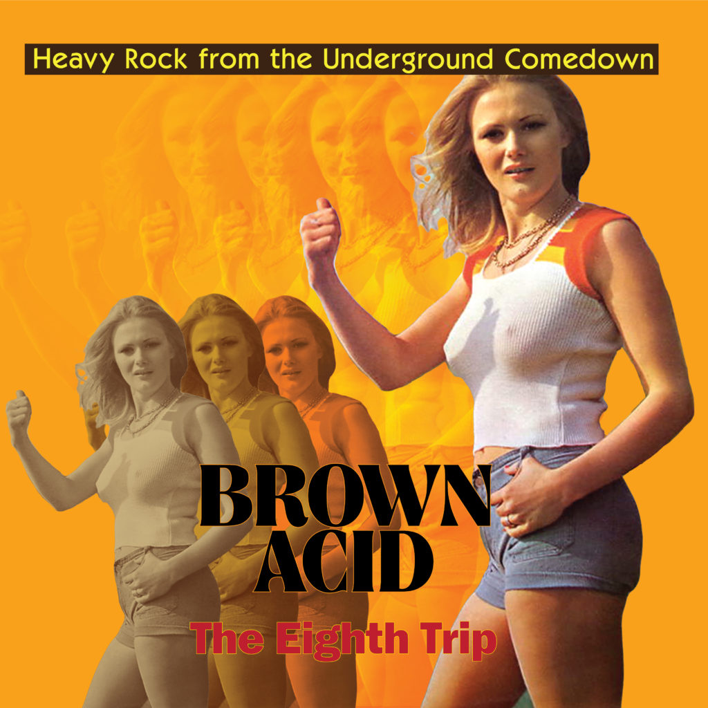 V/A - BROWN ACID: THE EIGHTH TRIP (LP)