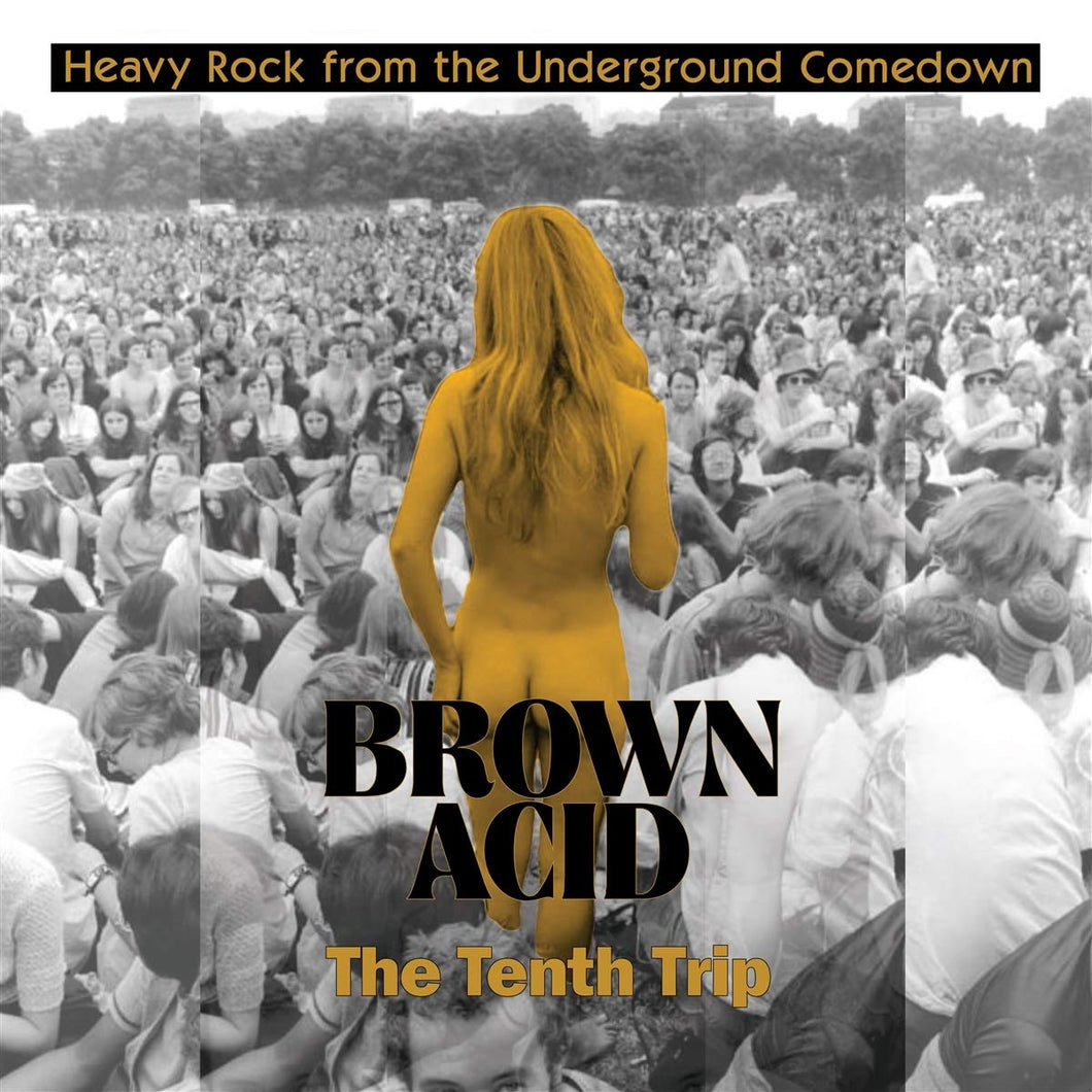 V/A - BROWN ACID: THE TENTH TRIP (LP)