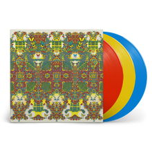 Load image into Gallery viewer, KING GIZZARD &amp; LIZARD WIZARD - BUTTERFLY 3000 (LP)
