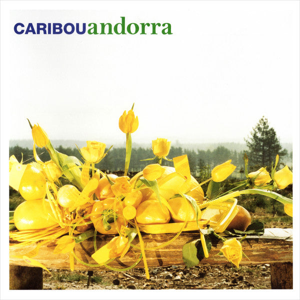 CARIBOU - ANDORRA (LP)