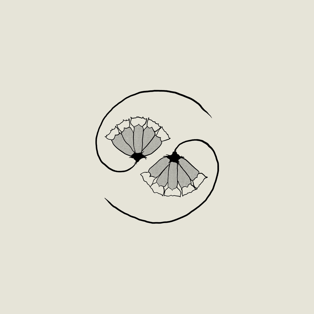 GODSPEED YOU! BLACK EMPEROR - G_D'S PEE AT STATE'S END (LP+10