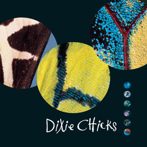 DIXIE CHICKS - FLY (2xLP)