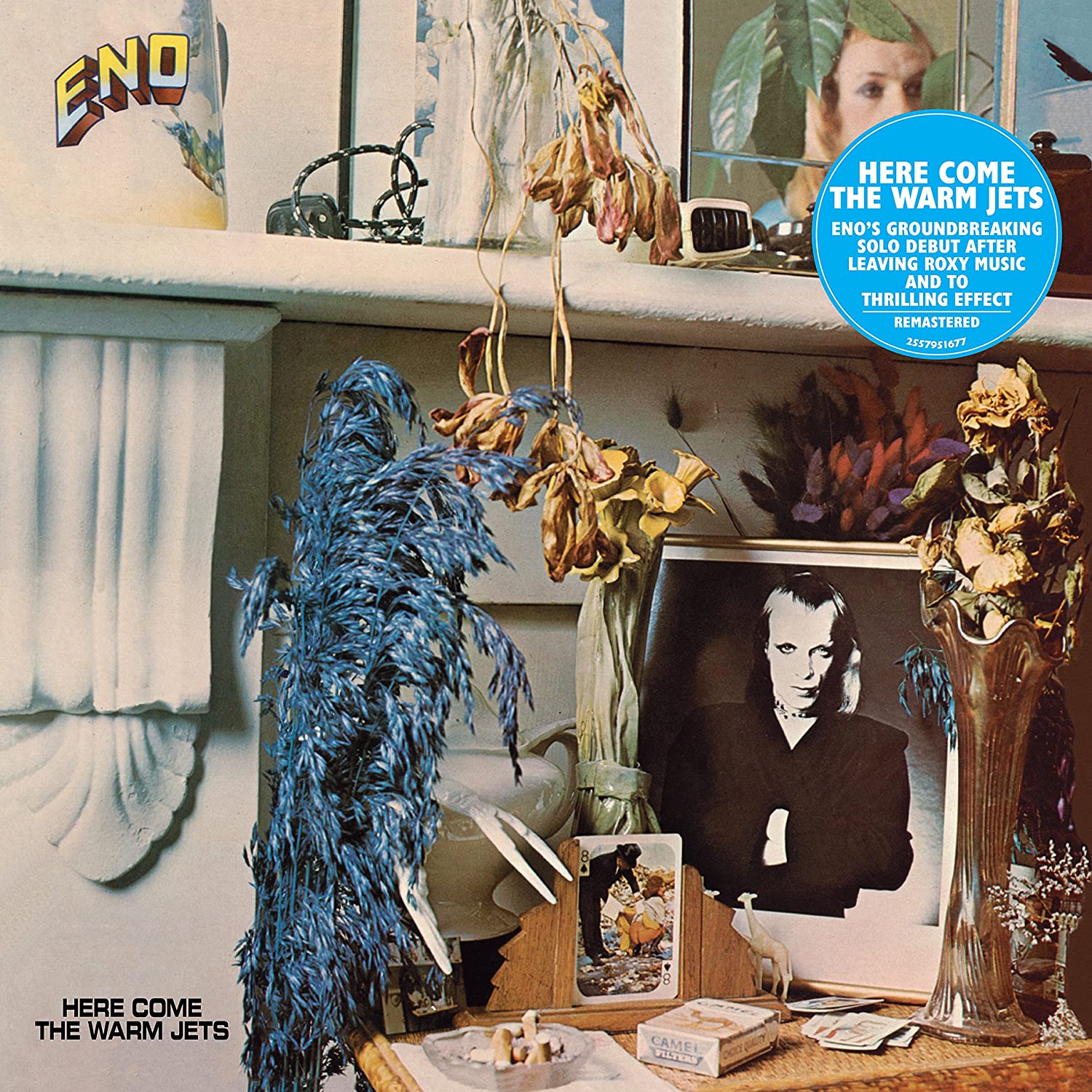 BRIAN ENO - HERE COME THE WARM JETS (LP/CD) – 10,000 Hz Records