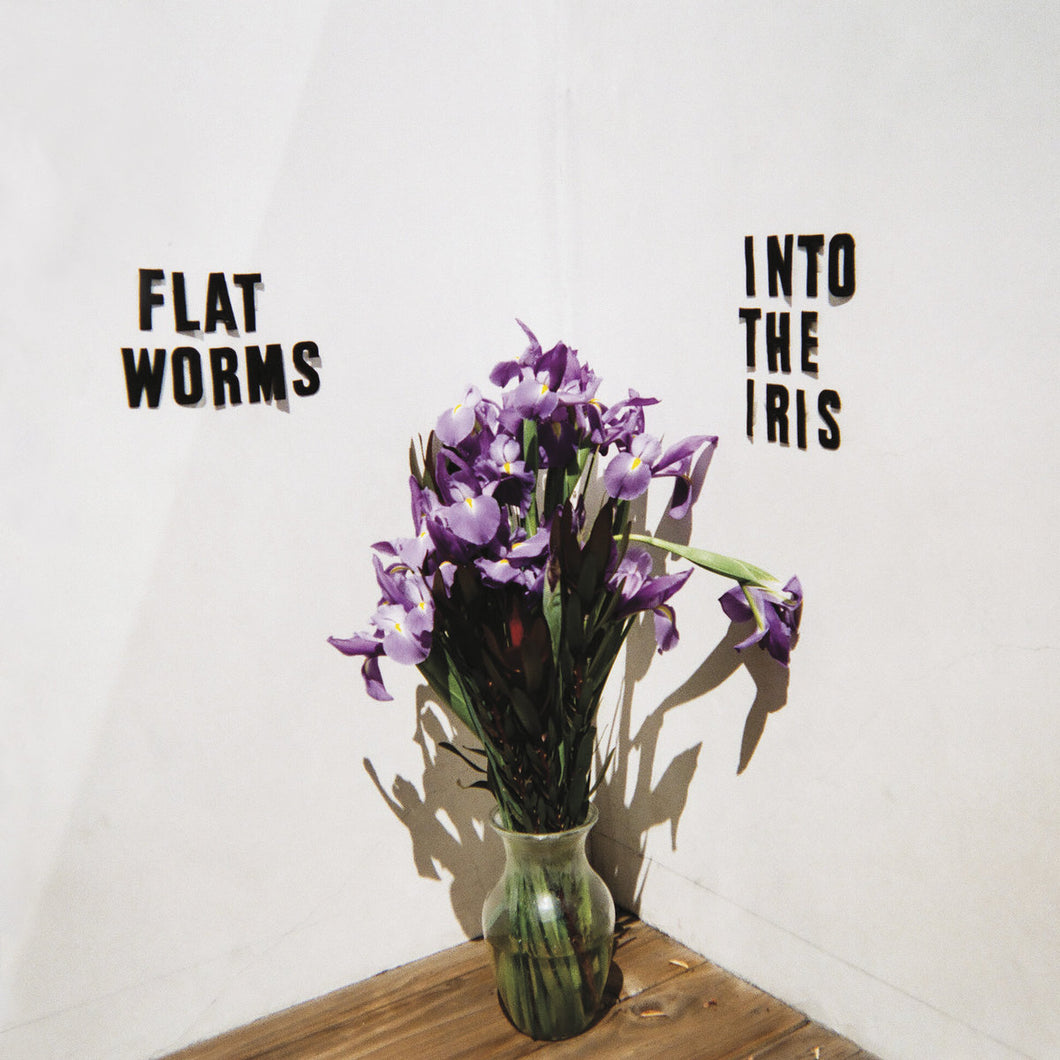 FLAT WORMS - INTO THE IRIS (LP)