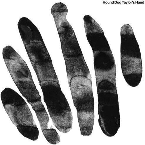 HOUND DOG TAYLOR and the HOUSEROCKERS - HOUND DOG TAYLOR'S HAND (LP)