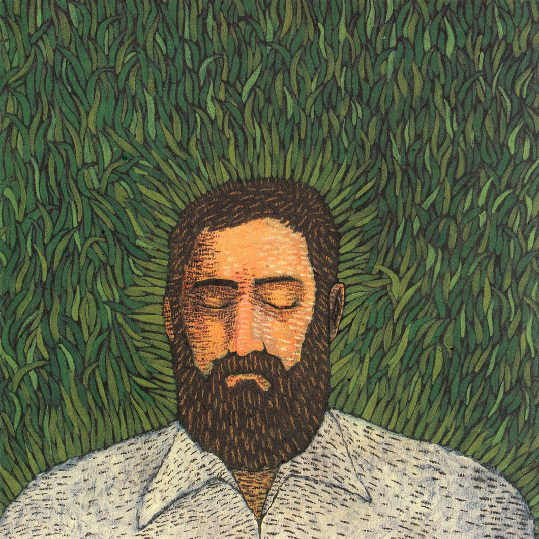 IRON AND WINE - OUR ENDLESS NUMBERED DAYS (LP)