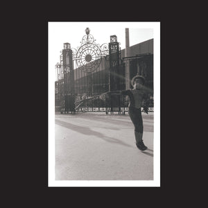 IRREVERSIBLE ENTANGLEMENTS - OPEN THE GATES (2xLP)
