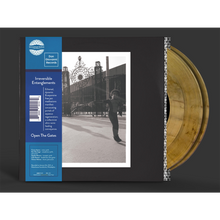 Load image into Gallery viewer, IRREVERSIBLE ENTANGLEMENTS - OPEN THE GATES (2xLP)
