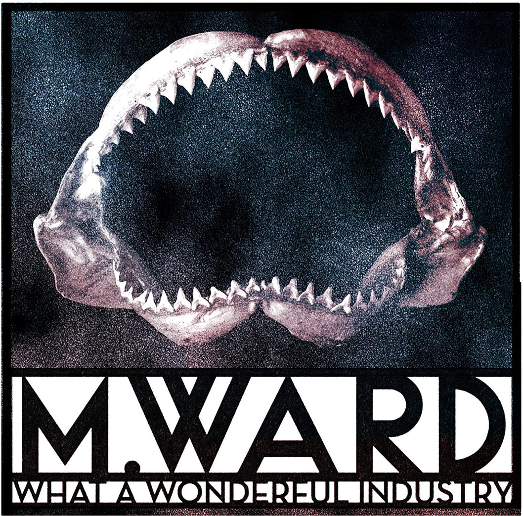 M. WARD - WHAT A WONDERFUL INDUSTRY (LP)
