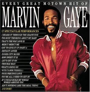 MARVIN GAYE - EVERY GREAT MOTOWN HIT (LP)