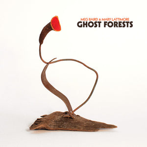 MEG BAIRD and MARY LATTIMORE - GHOST FORESTS (LP)