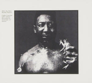 MUDDY WATERS - AFTER THE RAIN (LP)