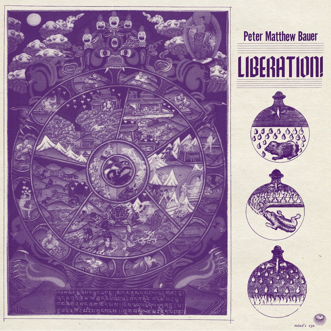 PETER MATTHEW BAUER - LIBERATION! (LP)