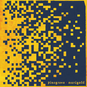 PINEGROVE - MARIGOLD (LP/CASSETTE)