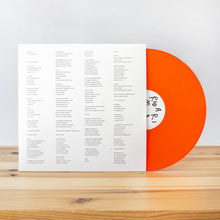 Load image into Gallery viewer, RODRIGO AMARANTE - CAVALO (LP)
