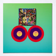 Load image into Gallery viewer, ROKY ERICKSON - THE EVIL ONE (2xLP)
