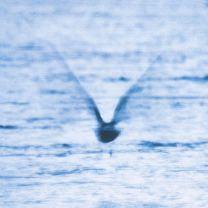 RYO FUKUI - MELLOW DREAM (LP)