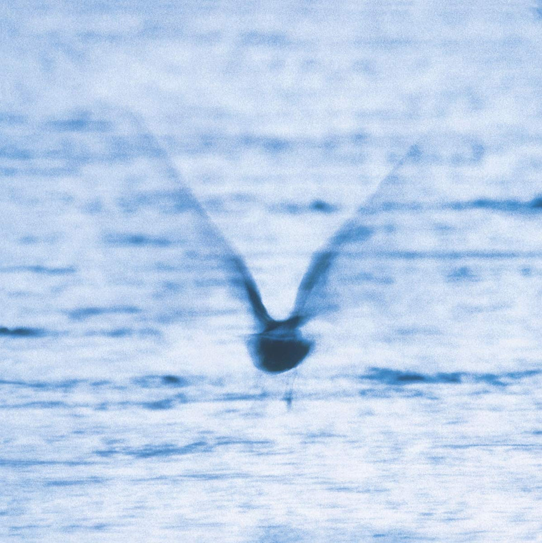 RYO FUKUI - MELLOW DREAM (LP)