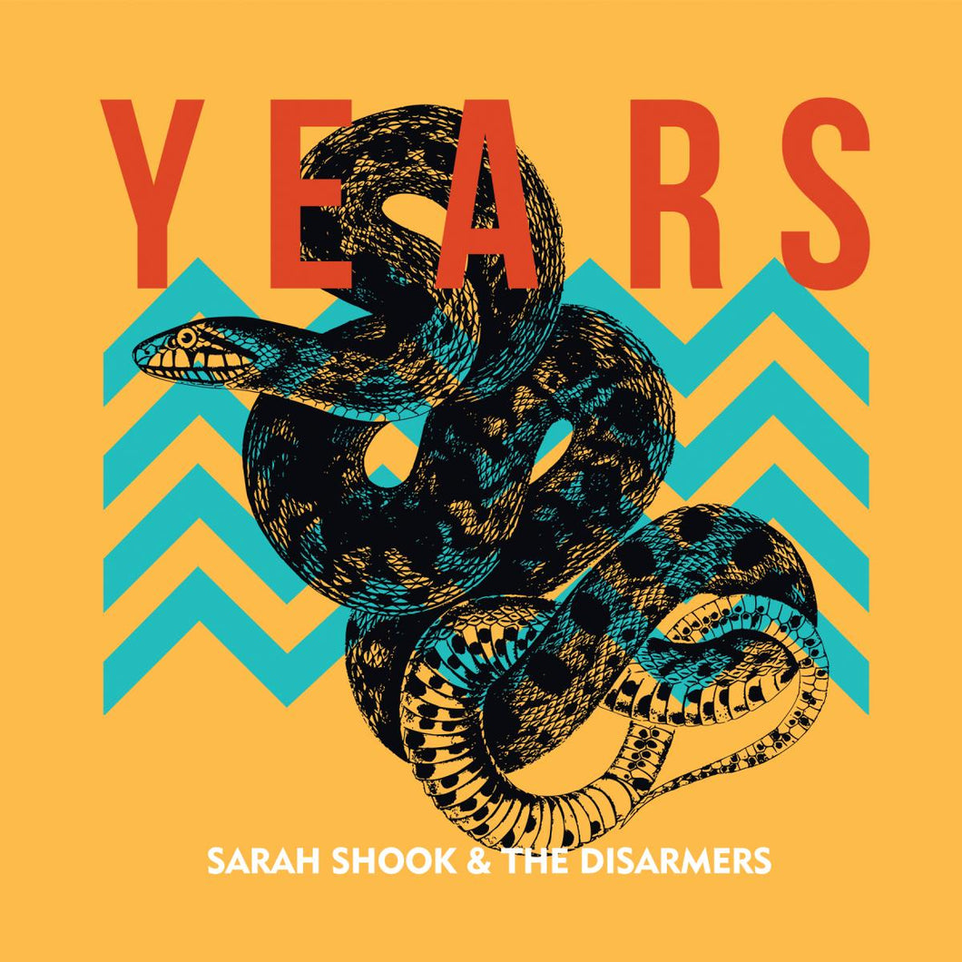 SARAH SHOOK AND THE DISARMERS - YEARS (LP)